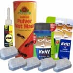 Maurpakke for SMÅ MAUR INNE OG UTE (sukkermaur/ sort jordmaur) Maurpakke for SMÅ MAUR INNE OG UTE (sukkermaur/ sort jordmaur) Image