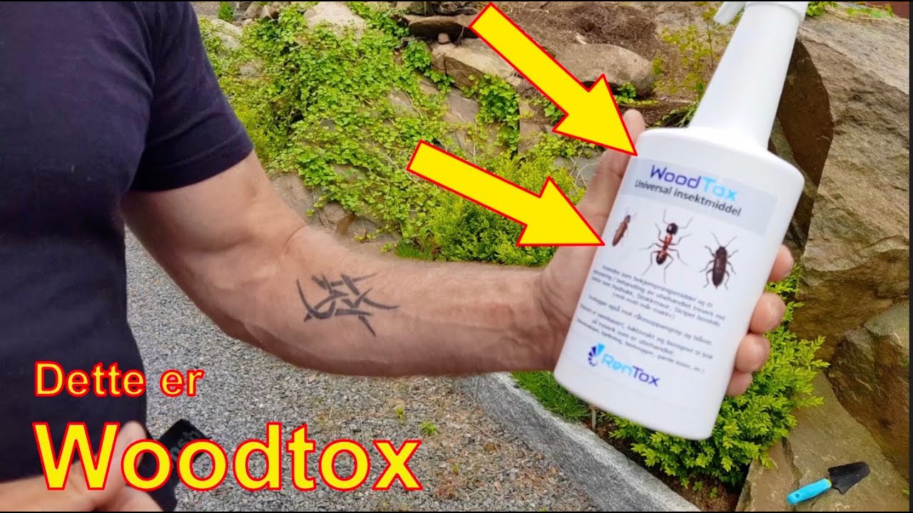 Woodtox - hvordan bruke det