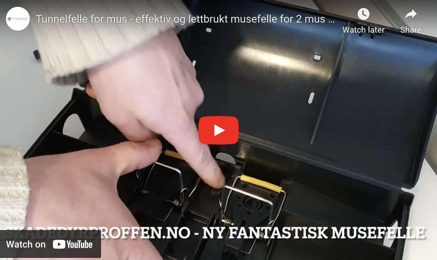 bruk av tunnelfelle for mus bruk av tunnelfelle for mus