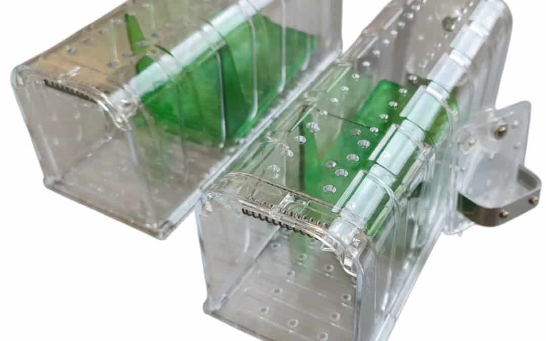 Levende fangst musefeller – 3 beste i test 2025