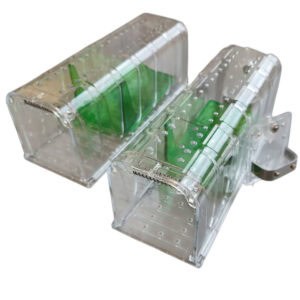 levende fangst musefelle smart og liten 2 pakk