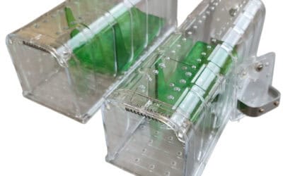 Levende fangst musefeller – 3 beste i test 2025