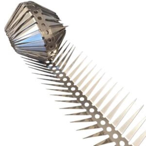 musepigg - den nye måten å tette hus for mus og rotter på